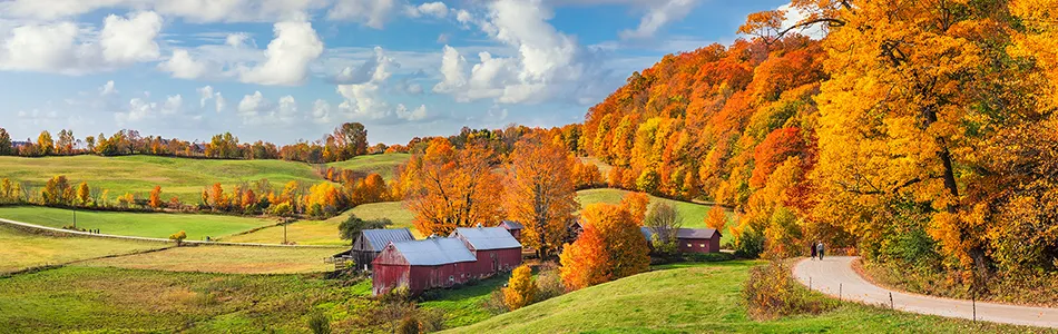 Farms for Sale